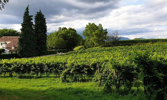 Venegazzu House | Agriturismo l'Eremo