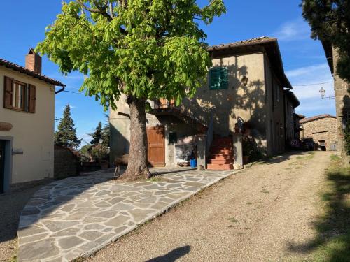 Greve in Chianti Apartment | Agriturismo La casina di Castellinuzza e Piuca