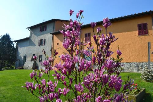 Rignano sull'Arno House | Agriturismo La Querce