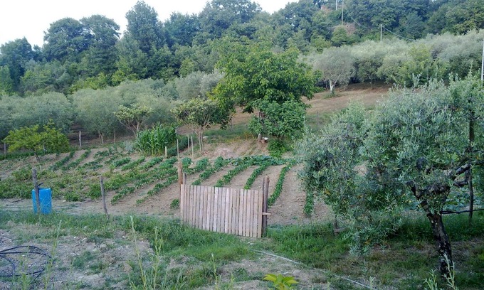 Felitto Other | Agriturismo le Cammarose