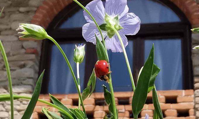 Bubbio Apartment | Agriturismo Mondo