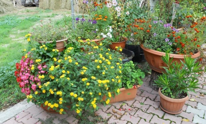Preci Other | Agriturismo Monti Sibillini Camperato
