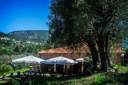 Santa Marina House | Agriturismo Murikè