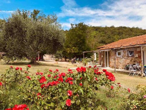 Magliano in Toscana House | Agriturismo Poggio Ceraso di Lamioni Roberto