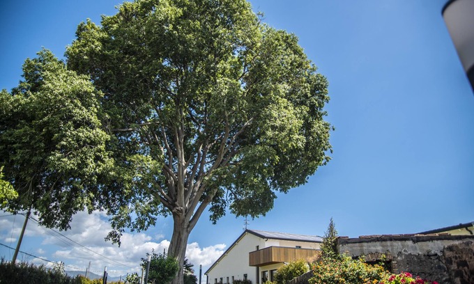 Mascali Bed & Breakfast | AGRO Sicily