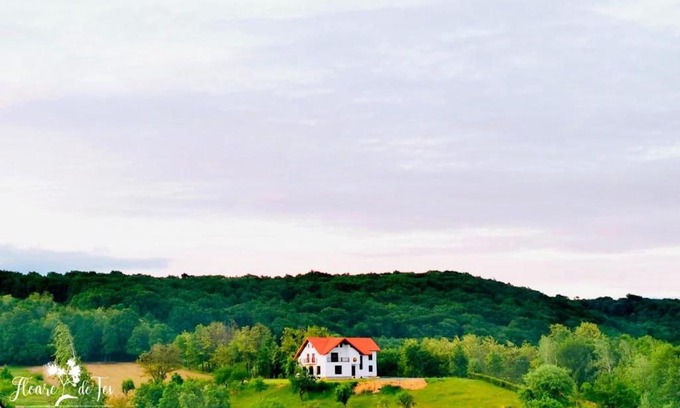 Copalnic-Manastur House | Agropensiunea Floare de Tei