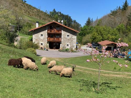 Gautegiz Arteaga House | Agroturismo Urresti
