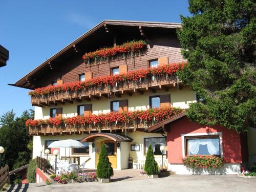 Folgaria Hotel | Albergo Villa Cristina