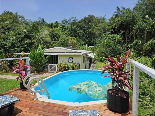 Cape Tribulation House | Alena Star House, Eco Retreat With Pool, Prime Position