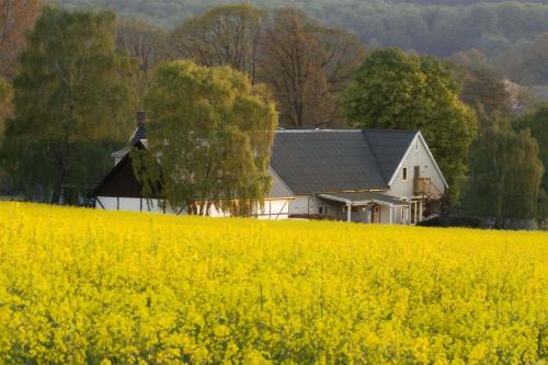 Kivik Hotel | Allé på Österlen
