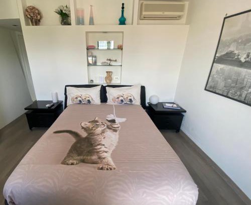 Quartiere XIII Aurelio House | Alloggio Turistico Roberta San Pietro