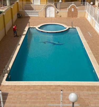 Almoradi Apartment | Almoradi