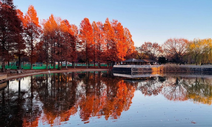 Itabashi House | [Alo BnB 7] - Near IKEBUKURO, SHINJUKU, UENO, GINZA, SHIBUYA - Self check-in