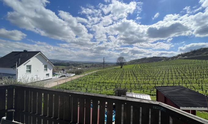 Mainz-Bingen Apartment | Am Keßlersberg