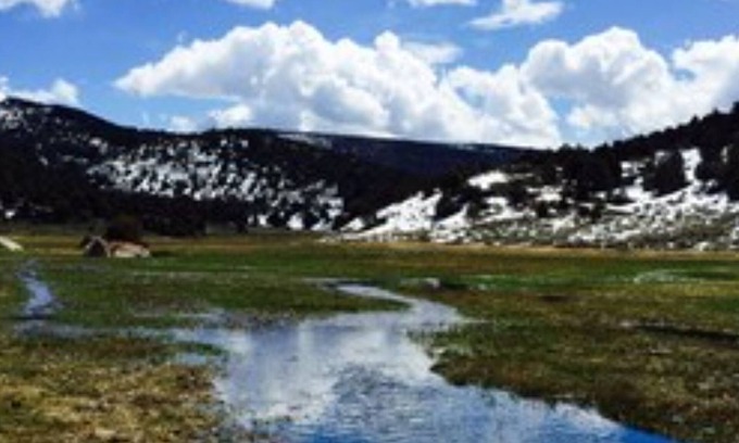 Sevier Cabin | Amazing Grass Creek