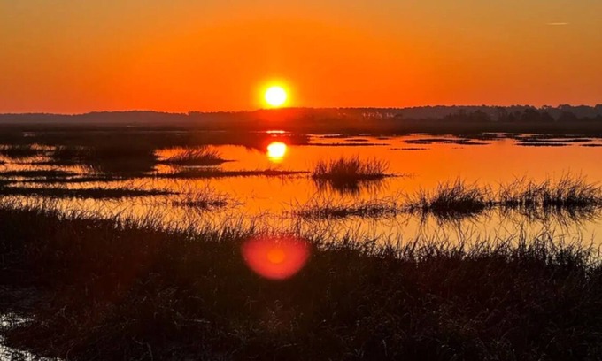 Charleston House | Amazing inlaw suite with marsh sunrise & incredible wildlife including dolphins