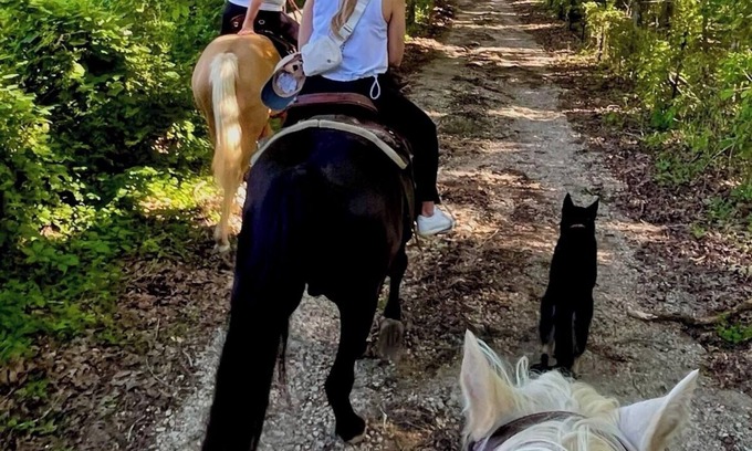 Doe Run RV Rental | Amazing Views, Unique Tee Pee Camping. Trail Rides on site. Pet Friendly!