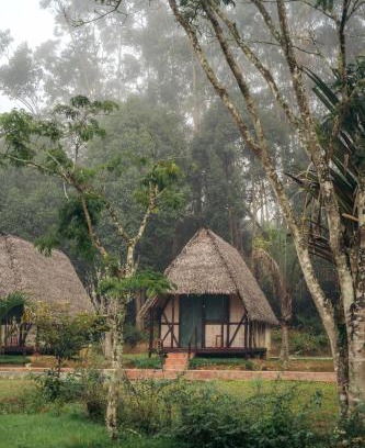 Andasibe Cabin | Amoron'ny Ala