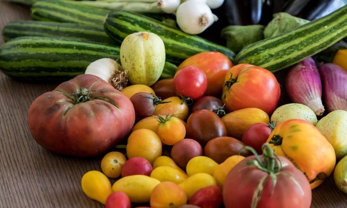 St.-Remy-de-Provence Other | An exceptional Mas in the heart of the Alpilles, 5 minutes from Saint Rémy de Provence