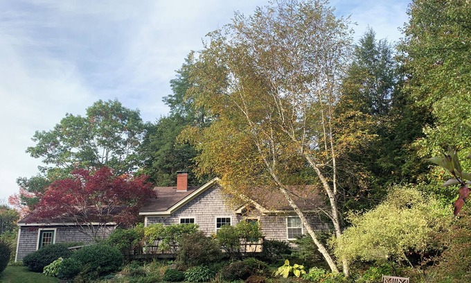 Camden House | . . . an oasis in the heart of Camden.