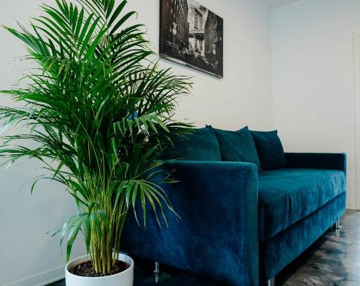 Floresti Apartment | Andrew Apartaments