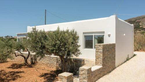 Drios Apartment | Andriana's 1 - Cycladic Home with Garden , Paros
