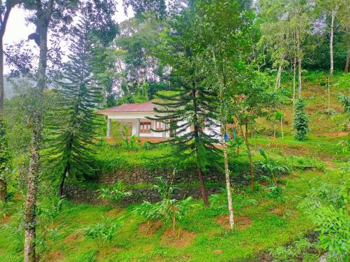 Udumbanchola House | Anivilla Holiday Home Kunjithanny