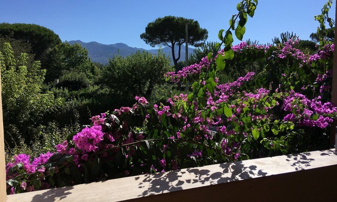 Pietrasanta House | Anna's House, in Forte dei Marmi.