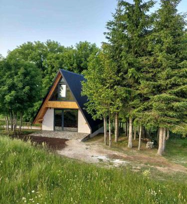 Virak Ski Chalet | Anovi house