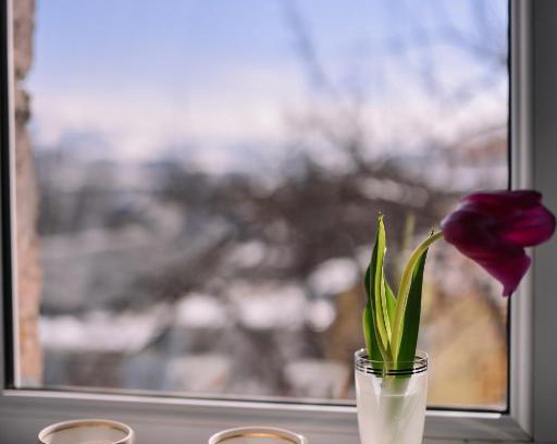 Vanadzor Apartment | Apart Hotel Sayat-Nova