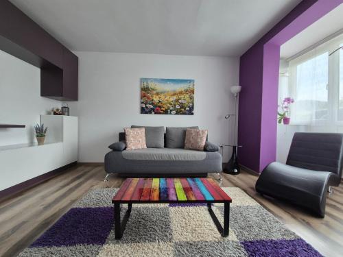 Piatra Neamt Apartment | Apartament ASR