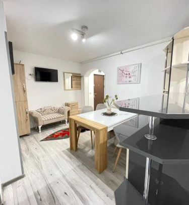 Tirgu Ocna Apartment | Apartament Daniel
