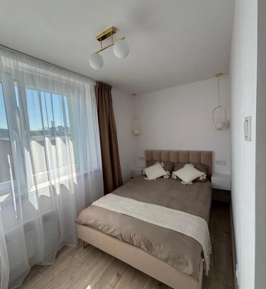 Mieroszow Apartment | Apartament Gold Rynek Mieroszów Wi-Fi, nc plus, doba od 14 do 12