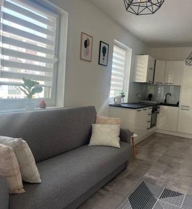 Olesnica Apartment | Apartament LUCA z balkonem