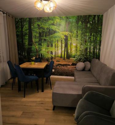 Radkow Apartment | Apartament Przy Rynku w Radkowie