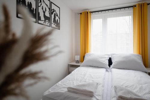 Zakopane Apartment | Apartament Zakopane Apart Centrum 338