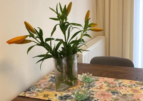 Olsztyn Apartment | Apartament Zielony Zakątek