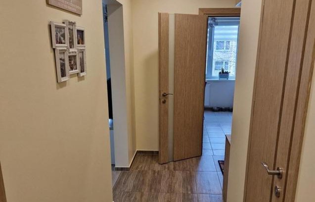 Kaunas Apartment | Apartamentai Prie Luaros