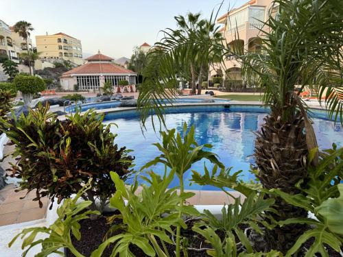 San Miguel de Abona Apartment | Apartamento en Golf del Sur con piscina