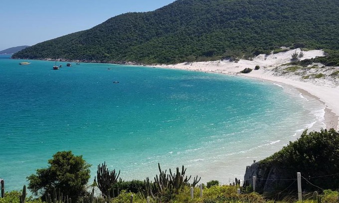 Jardim Flamboyant Apartment | Apartamento Vivi James Cabo Frio