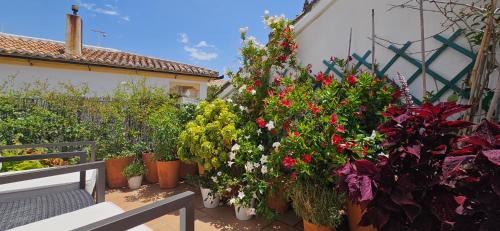 Ronda Apartment | Apartamentos Los Descalzos Ángel With Private Terrace Free Parking