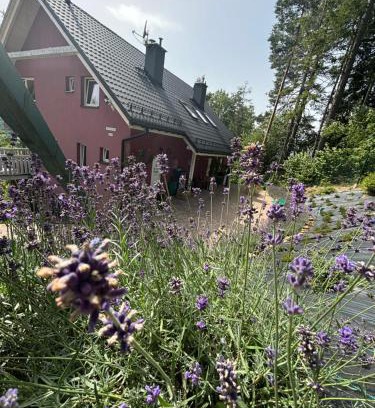 Wisla Apartment | Apartamenty Lavender Hill