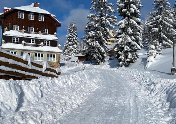 Stare Hamry Apartment | Apartmán Meluzína