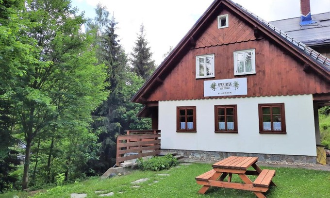 Rokytnice nad Jizerou Apartment | Apartmán mezi stromy