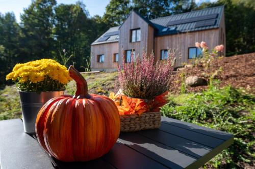 Bedrichov Apartment | Apartmány Hraničná s privátním wellness