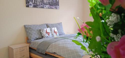 Ledec nad Sazavou Apartment | Apartmány Ledeč