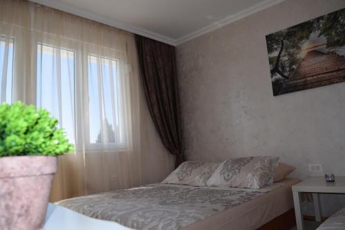 Bar Apartment | Apartman Bloom