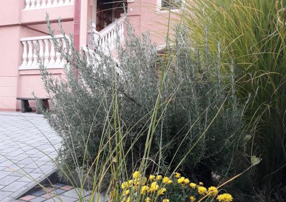 Vrnjacka Banja Apartment | Apartman Dunja 002