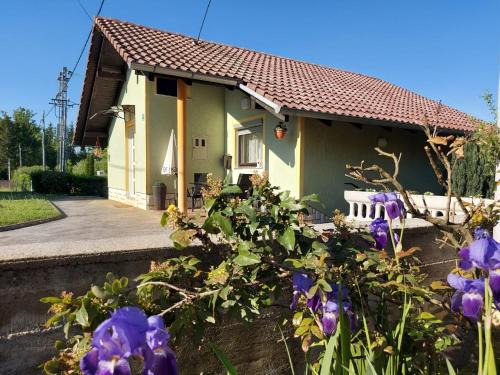 Cvetkovic Apartment | Apartman Jana