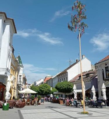 Piestany Apartment | Apartman Piestany